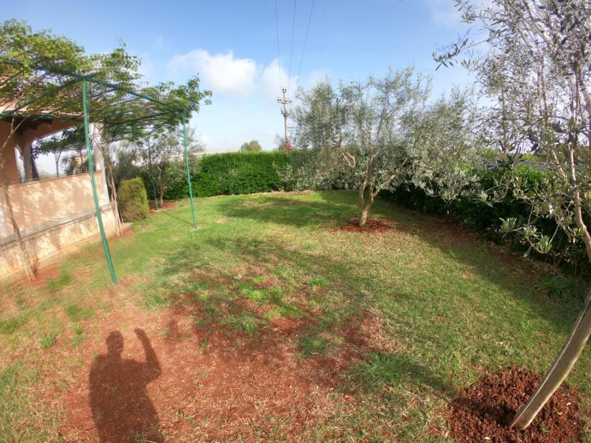 Spacious Apartment With Parking&Garden Marčana Exterior foto